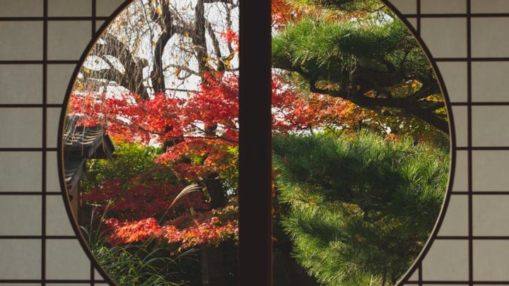 window in japanese style with view of autumn trees