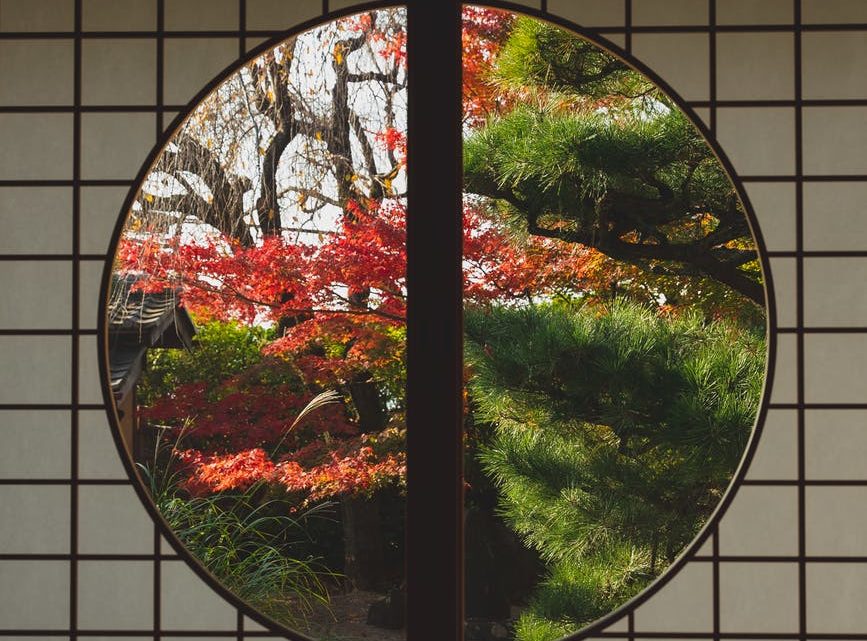 window in japanese style with view of autumn trees